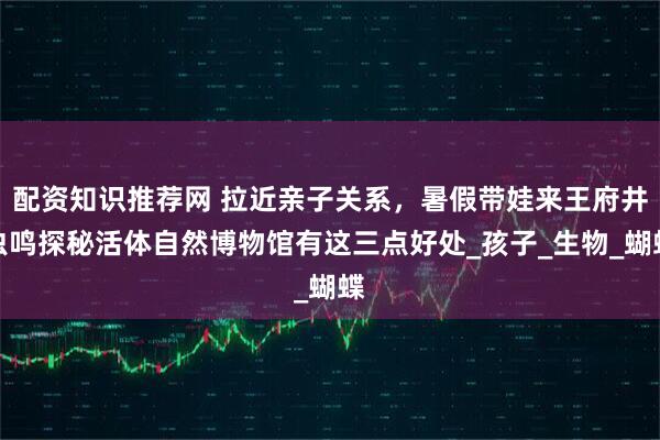 配资知识推荐网 拉近亲子关系，暑假带娃来王府井虫鸣探秘活体自然博物馆有这三点好处_孩子_生物_蝴蝶